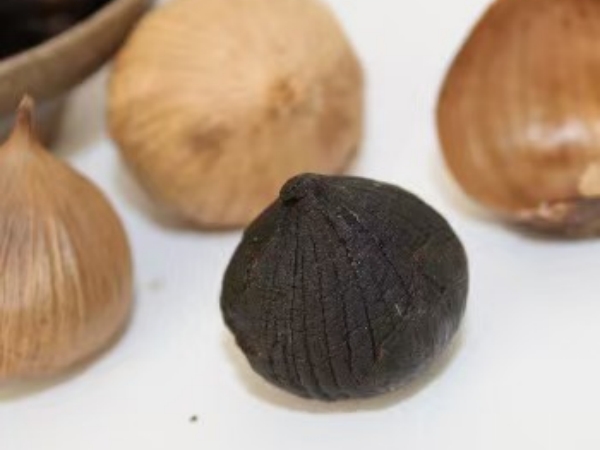 黑蒜厂家
